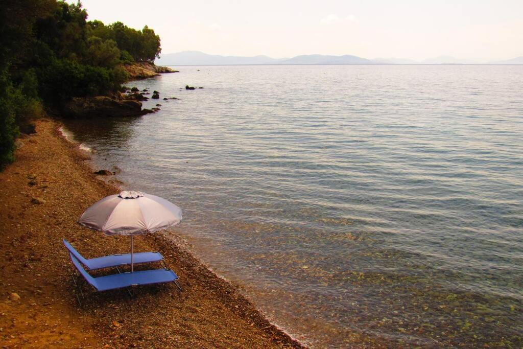 Christie'S Ground Floor Apartment By The Sea Kato Gatzea Exterior foto